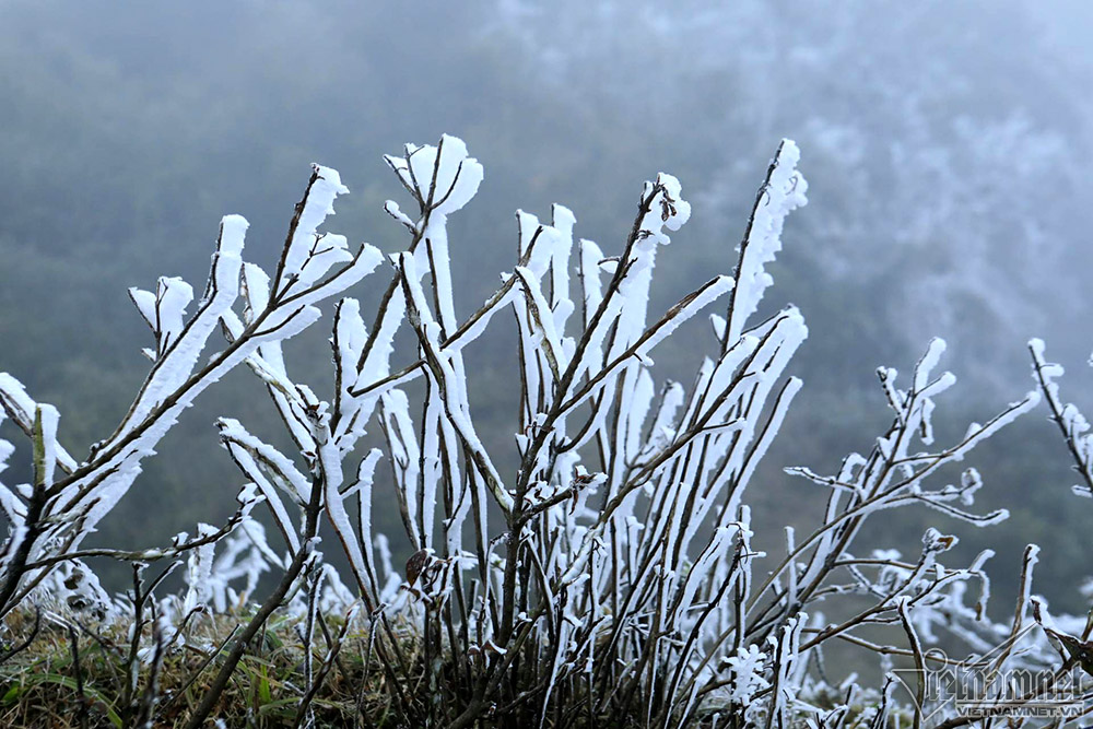 Băng tuyết phủ trắng đỉnh đèo Ô Quý Hồ